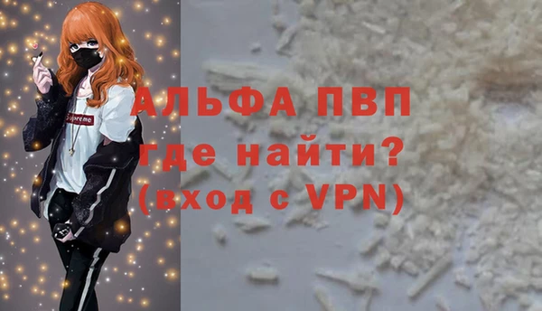 стаф Козельск
