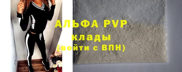 стаф Козельск