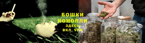 ПСИЛОЦИБИНОВЫЕ ГРИБЫ Киреевск