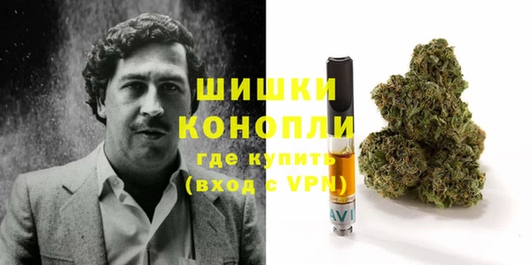 ПСИЛОЦИБИНОВЫЕ ГРИБЫ Киреевск